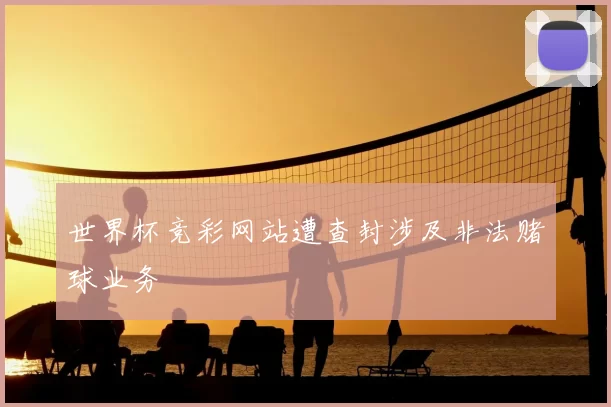 世界杯竞彩网站遭查封涉及非法赌球业务