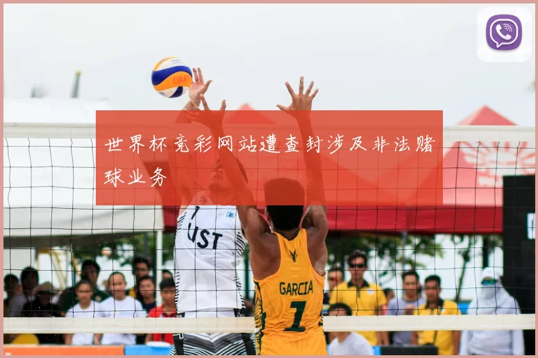 世界杯竞彩网站遭查封涉及非法赌球业务